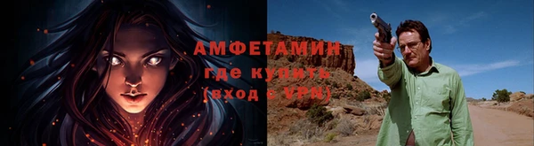 прущие грибы Верхнеуральск