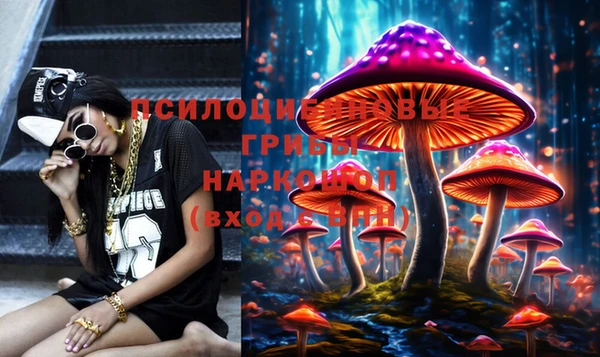 прущие грибы Верхнеуральск