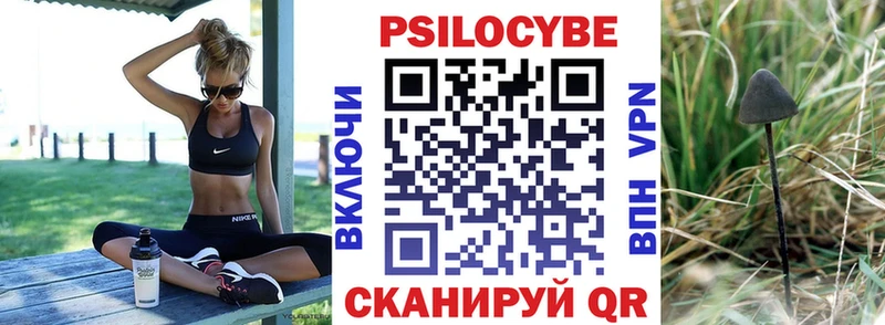 где купить Вышний Волочёк Псилоцибиновые грибы мухоморы